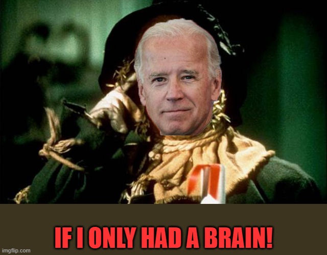 This one was too easy. | IF I ONLY HAD A BRAIN! | image tagged in oz scarecrow,biden,brain | made w/ Imgflip meme maker