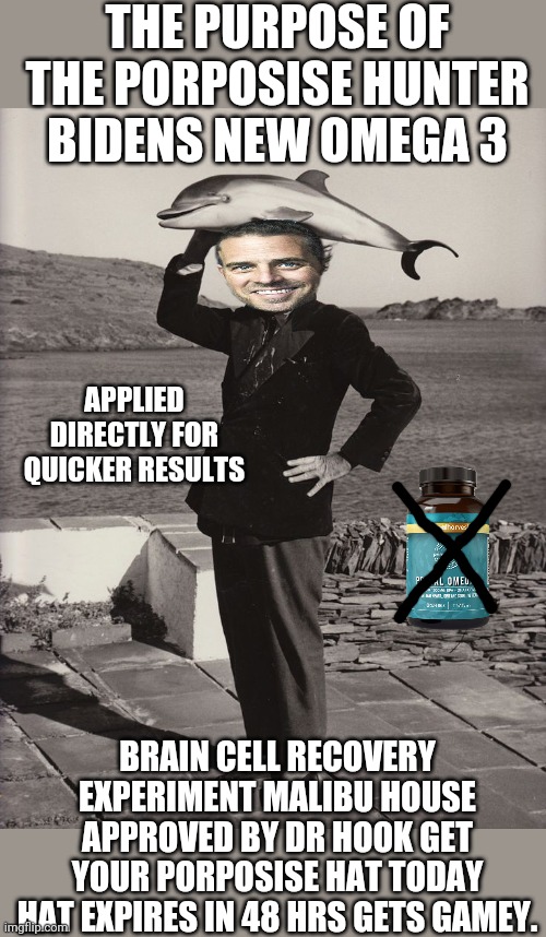 flshey product | THE PURPOSE OF THE PORPOSISE HUNTER BIDENS NEW OMEGA 3; APPLIED DIRECTLY FOR QUICKER RESULTS; BRAIN CELL RECOVERY EXPERIMENT MALIBU HOUSE APPROVED BY DR HOOK GET YOUR PORPOSISE HAT TODAY HAT EXPIRES IN 48 HRS GETS GAMEY. | image tagged in philosoraptor | made w/ Imgflip meme maker