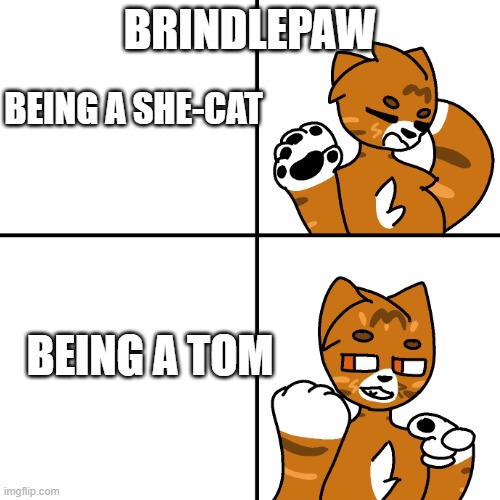 Brindlepaw is a trans male | BRINDLEPAW; BEING A SHE-CAT; BEING A TOM | image tagged in thunder drake meme | made w/ Imgflip meme maker