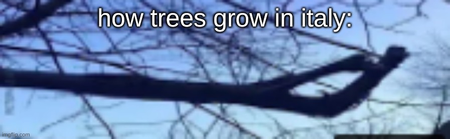 lol | how trees grow in italy: | image tagged in italy,trees | made w/ Imgflip meme maker