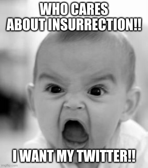 conservatives be like, turn the page and forgive | WHO CARES ABOUT INSURRECTION!! I WANT MY TWITTER!! | image tagged in memes,angry baby,rumptards | made w/ Imgflip meme maker