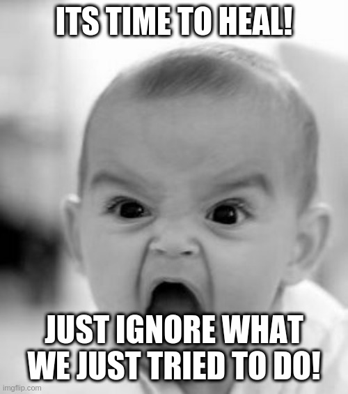 so few brain cells left | ITS TIME TO HEAL! JUST IGNORE WHAT WE JUST TRIED TO DO! | image tagged in memes,angry baby,rumptards | made w/ Imgflip meme maker