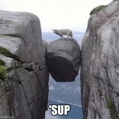Just chilling | 'SUP | image tagged in sup,yo,just chillin' | made w/ Imgflip meme maker