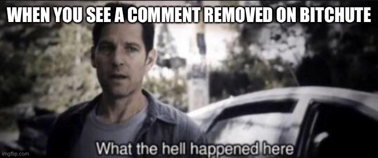 Pretty much | WHEN YOU SEE A COMMENT REMOVED ON BITCHUTE | image tagged in what the hell happened here | made w/ Imgflip meme maker