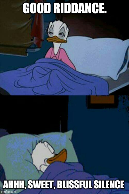 sleepy donald duck in bed | GOOD RIDDANCE. AHHH, SWEET, BLISSFUL SILENCE | image tagged in sleepy donald duck in bed | made w/ Imgflip meme maker