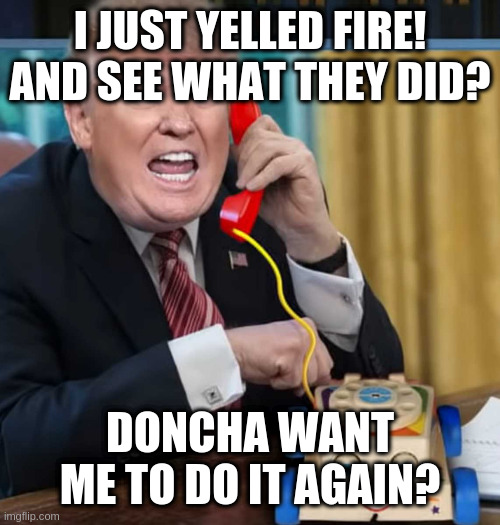 I'm the president | I JUST YELLED FIRE! AND SEE WHAT THEY DID? DONCHA WANT ME TO DO IT AGAIN? | image tagged in i'm the president | made w/ Imgflip meme maker