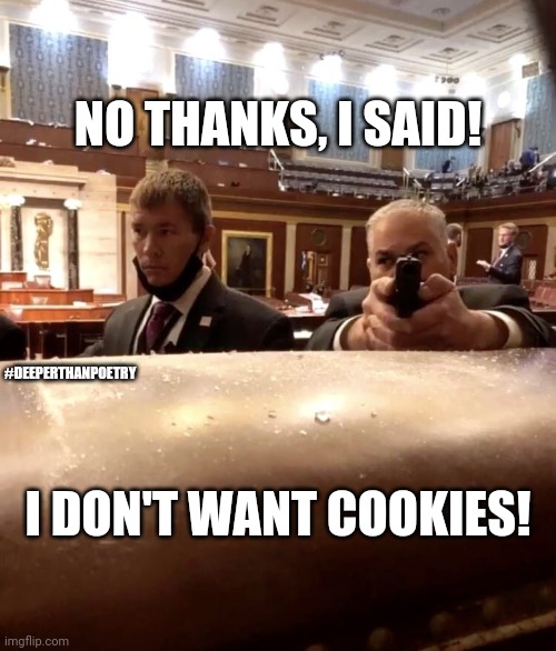#NoCookies | NO THANKS, I SAID! #DEEPERTHANPOETRY; I DON'T WANT COOKIES! | image tagged in capitol hill police,cookies,washington dc,capitol hill,peaceful,protest | made w/ Imgflip meme maker
