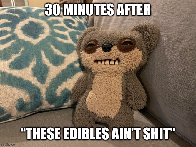 30 MINUTES AFTER; “THESE EDIBLES AIN’T SHIT” | image tagged in memes | made w/ Imgflip meme maker