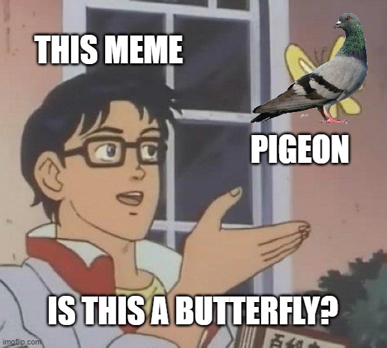 we switched it | THIS MEME; PIGEON; IS THIS A BUTTERFLY? | image tagged in memes,is this a pigeon | made w/ Imgflip meme maker