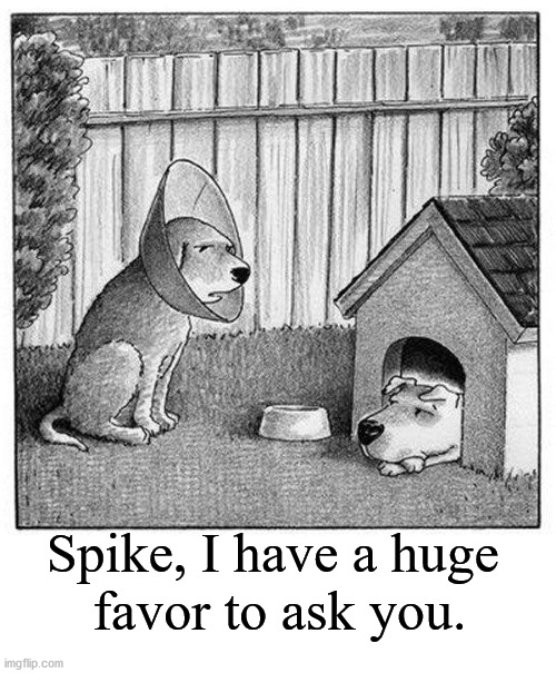 Spike, I have a huge 
favor to ask you. | image tagged in comics/cartoons | made w/ Imgflip meme maker