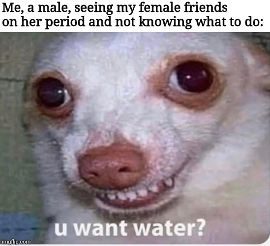 I really don't care if this offends anyone | Me, a male, seeing my female friends on her period and not knowing what to do: | image tagged in u want water | made w/ Imgflip meme maker