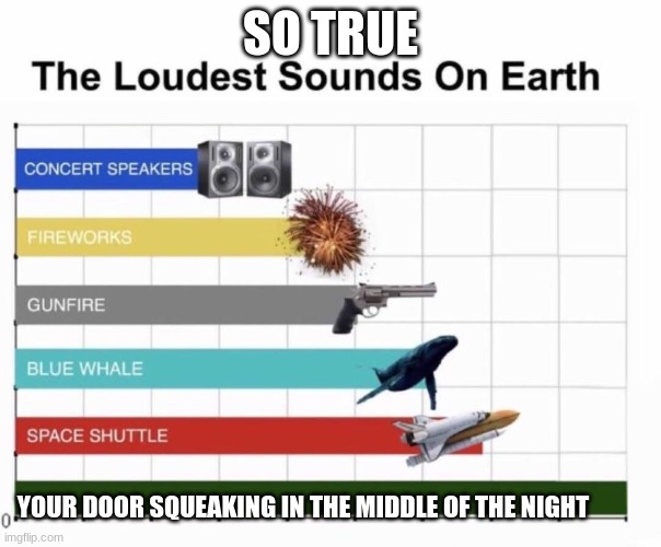 SO TRUE!!!!!!!! | SO TRUE; YOUR DOOR SQUEAKING IN THE MIDDLE OF THE NIGHT | image tagged in loudest things | made w/ Imgflip meme maker