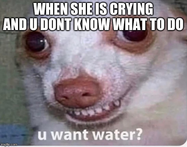u want water? | WHEN SHE IS CRYING AND U DONT KNOW WHAT TO DO | image tagged in u want water | made w/ Imgflip meme maker