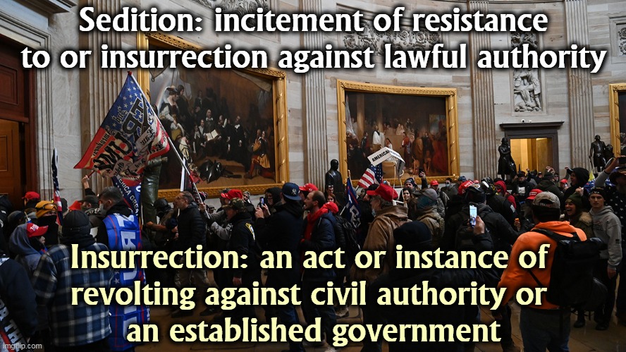 1776? No, 1861. | Sedition: incitement of resistance to or insurrection against lawful authority; Insurrection: an act or instance of 
revolting against civil authority or 
an established government | image tagged in law,break,idiots | made w/ Imgflip meme maker