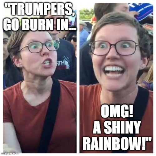 Trumpers... | "TRUMPERS, GO BURN IN... OMG! A SHINY RAINBOW!" | image tagged in hypocrite liberal | made w/ Imgflip meme maker