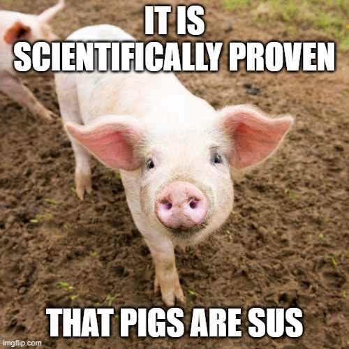 i mean, am i wrong? | IT IS SCIENTIFICALLY PROVEN; THAT PIGS ARE SUS | image tagged in pig | made w/ Imgflip meme maker