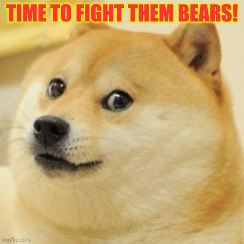 wow doge | TIME TO FIGHT THEM BEARS! | image tagged in wow doge | made w/ Imgflip meme maker
