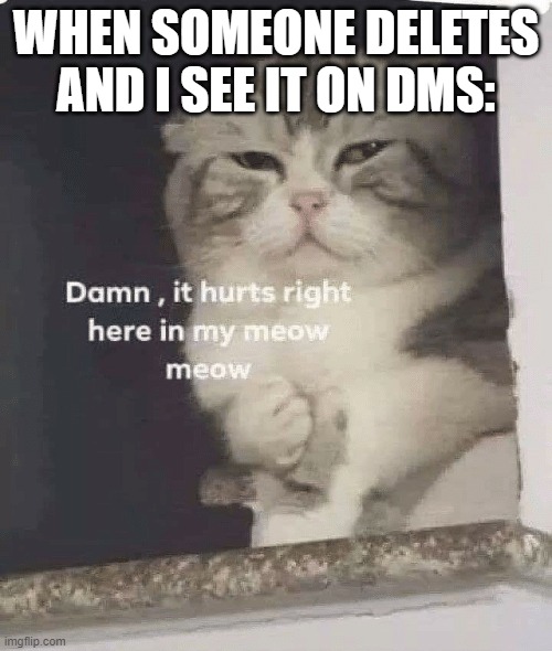 damn it hurts right here in my meow meow | WHEN SOMEONE DELETES AND I SEE IT ON DMS: | image tagged in damn it hurts right here in my meow meow | made w/ Imgflip meme maker