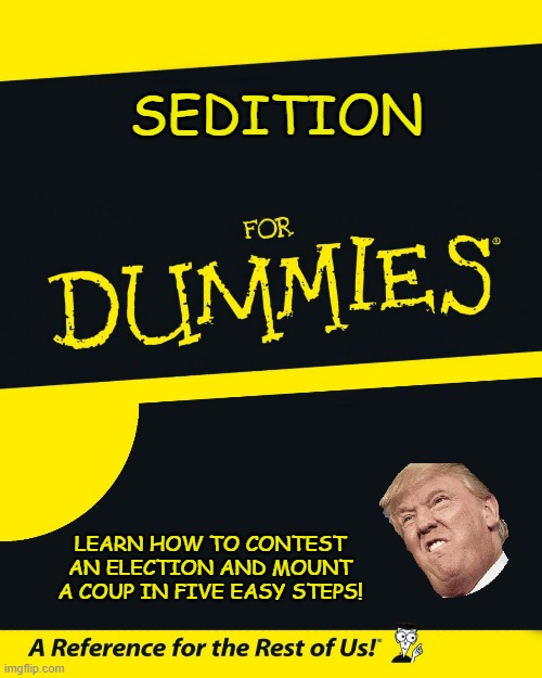 For Dummies | SEDITION; LEARN HOW TO CONTEST AN ELECTION AND MOUNT A COUP IN FIVE EASY STEPS! | image tagged in for dummies | made w/ Imgflip meme maker