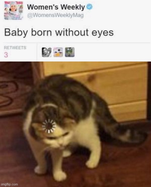 Um... what? | image tagged in loading cat,twitter,tweets,memes,cat | made w/ Imgflip meme maker