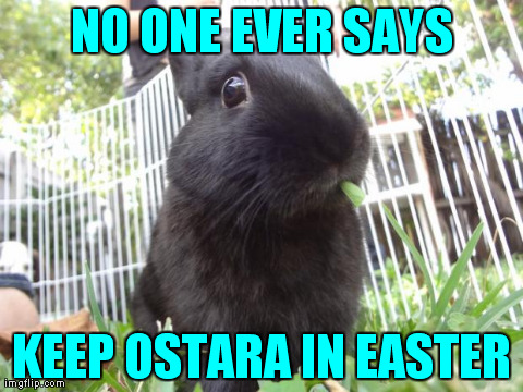 NO ONE EVER SAYS KEEP OSTARA IN EASTER | image tagged in bunny | made w/ Imgflip meme maker