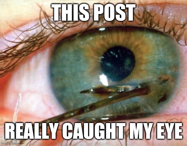 Hook and eye | THIS POST; REALLY CAUGHT MY EYE | image tagged in hook and eye | made w/ Imgflip meme maker
