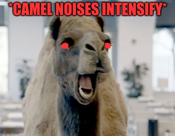 Geico camel hump day | *CAMEL NOISES INTENSIFY* | image tagged in geico camel hump day | made w/ Imgflip meme maker