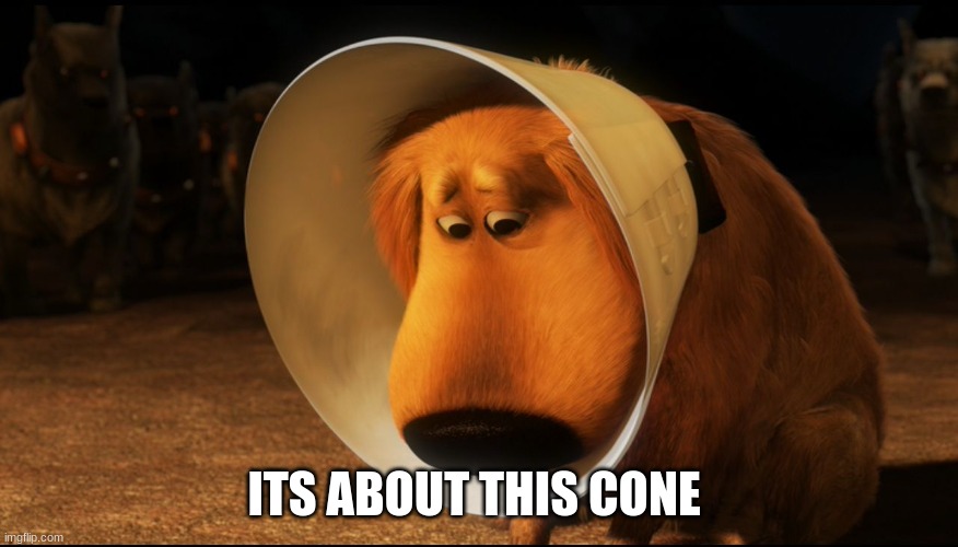 Doug from Up - Cone of Shame | ITS ABOUT THIS CONE | image tagged in doug from up - cone of shame | made w/ Imgflip meme maker