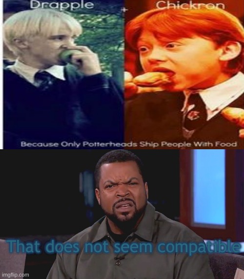 Im sorry but an APPLE?!??! | That does not seem compatible | image tagged in really ice cube,drapple,chickron | made w/ Imgflip meme maker
