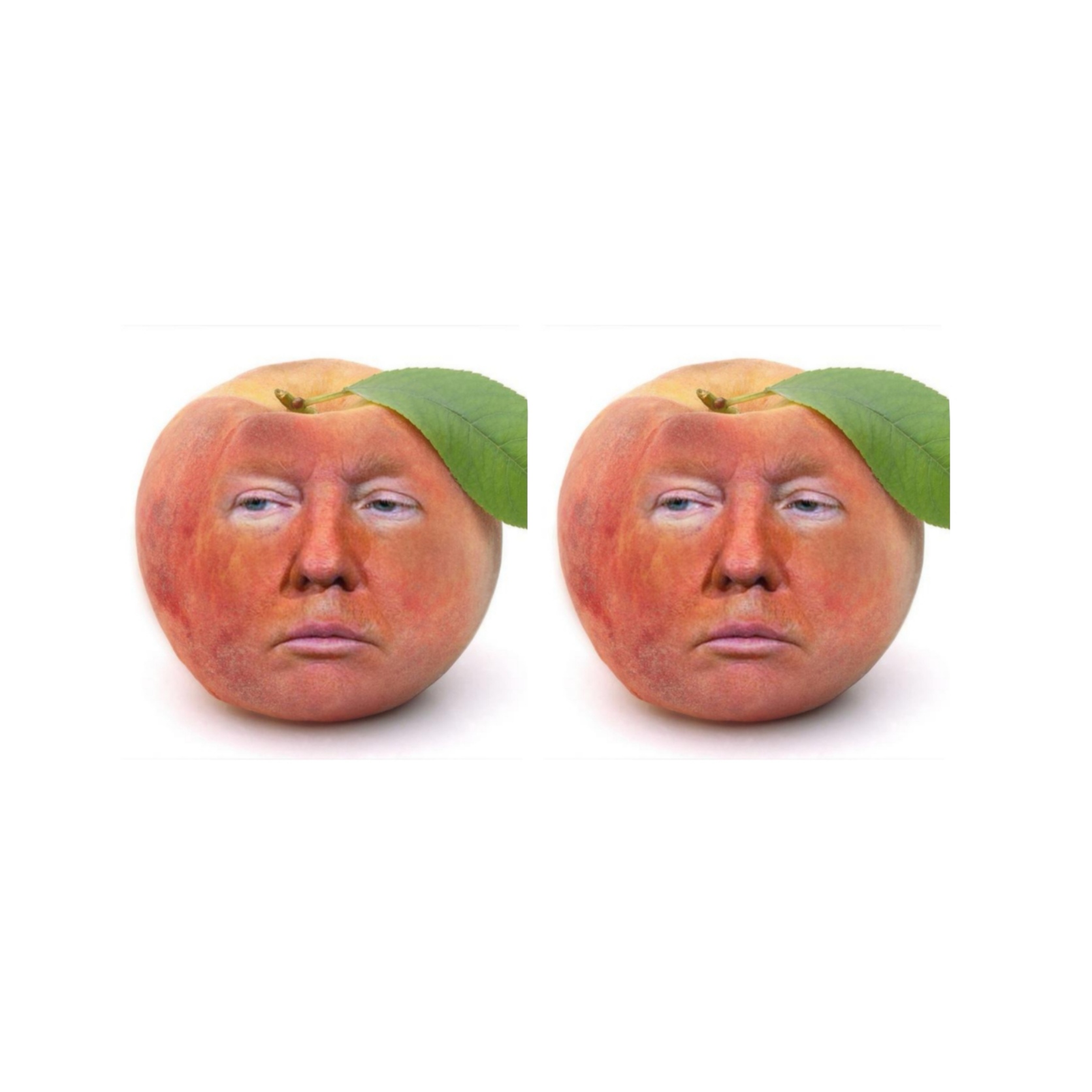 Impeachment #2 Blank Meme Template