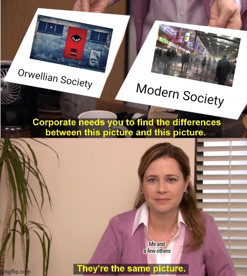 They're The Same Picture Meme | Orwellian Society; Modern Society; Me and a few others | image tagged in memes,they're the same picture | made w/ Imgflip meme maker