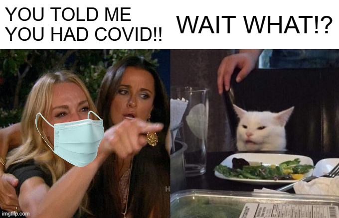 Uh oh. | YOU TOLD ME YOU HAD COVID!! WAIT WHAT!? | image tagged in memes,woman yelling at cat | made w/ Imgflip meme maker