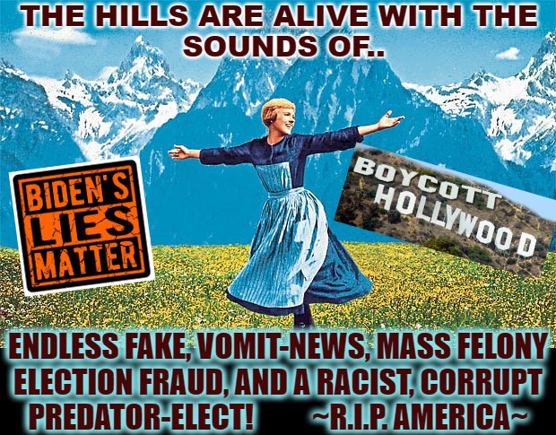 Sound of music  | THE HILLS ARE ALIVE WITH THE
                 SOUNDS OF.. ENDLESS FAKE, VOMIT-NEWS, MASS FELONY ELECTION FRAUD, AND A RACIST, CORRUPT
PREDATOR-ELECT!          ~R.I.P. AMERICA~ | image tagged in sound of music | made w/ Imgflip meme maker