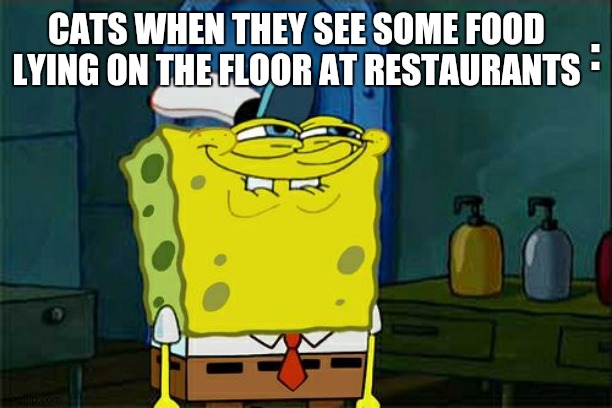 Don't You Squidward | :; CATS WHEN THEY SEE SOME FOOD LYING ON THE FLOOR AT RESTAURANTS | image tagged in memes,don't you squidward,sad cat | made w/ Imgflip meme maker