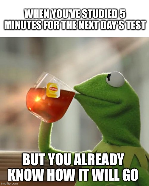 But That's None Of My Business Meme | WHEN YOU'VE STUDIED 5 MINUTES FOR THE NEXT DAY'S TEST; BUT YOU ALREADY KNOW HOW IT WILL GO | image tagged in memes,but that's none of my business,kermit the frog,scuola | made w/ Imgflip meme maker