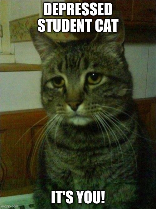 Depressed Cat | DEPRESSED STUDENT CAT; IT'S YOU! | image tagged in memes,depressed cat | made w/ Imgflip meme maker