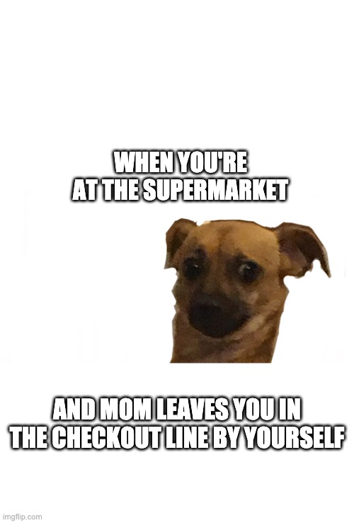 Concerned doggo | WHEN YOU'RE AT THE SUPERMARKET; AND MOM LEAVES YOU IN THE CHECKOUT LINE BY YOURSELF | image tagged in concerned doggo | made w/ Imgflip meme maker