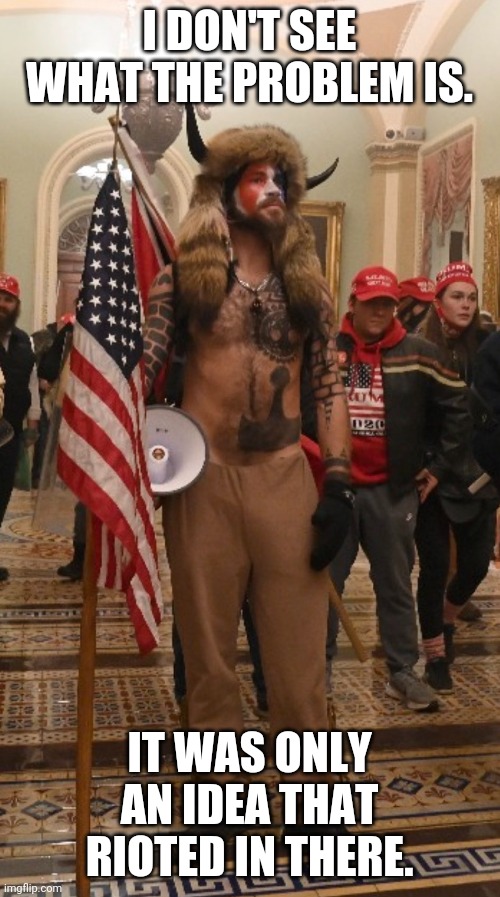 Right, Biden? | I DON'T SEE WHAT THE PROBLEM IS. IT WAS ONLY AN IDEA THAT RIOTED IN THERE. | image tagged in capitol hill rioter | made w/ Imgflip meme maker