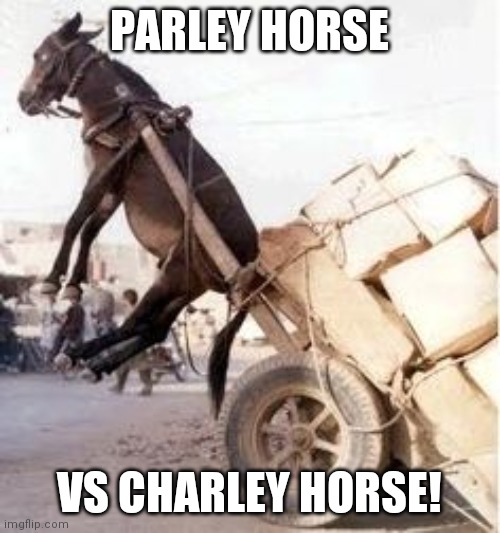 Within two years we Patriots are going to give Socialist Democrats the Political fight of their lives! | PARLEY HORSE; VS CHARLEY HORSE! | image tagged in overloaded donkey,midterms,conservatives,take,back,congress | made w/ Imgflip meme maker