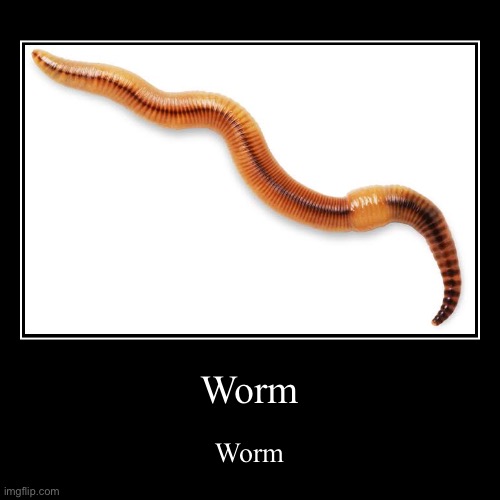 image tagged in demotivationals,worm,wurm | made w/ Imgflip demotivational maker