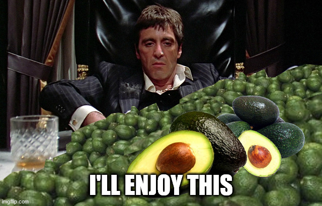 scarface avocado | I'LL ENJOY THIS | image tagged in scarface avocado | made w/ Imgflip meme maker