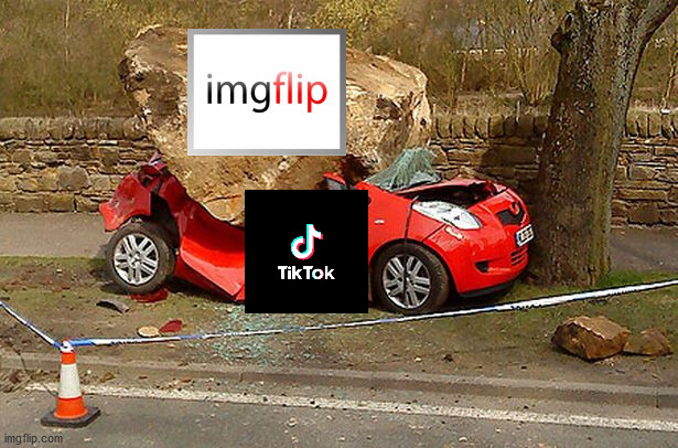 TikTok bad, Imgflip good | image tagged in crushed | made w/ Imgflip meme maker