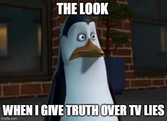tv lies | THE LOOK; WHEN I GIVE TRUTH OVER TV LIES | image tagged in tv lies blank look | made w/ Imgflip meme maker