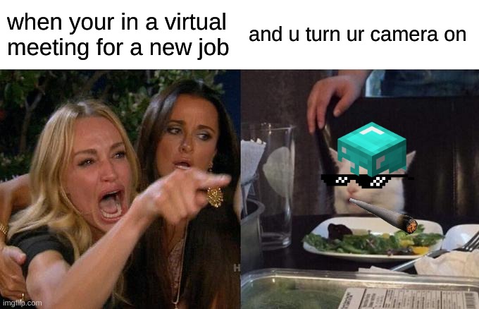 the camera  goes on | when your in a virtual meeting for a new job; and u turn ur camera on | image tagged in memes,woman yelling at cat | made w/ Imgflip meme maker
