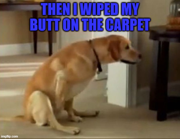 THEN I WIPED MY BUTT ON THE CARPET | made w/ Imgflip meme maker