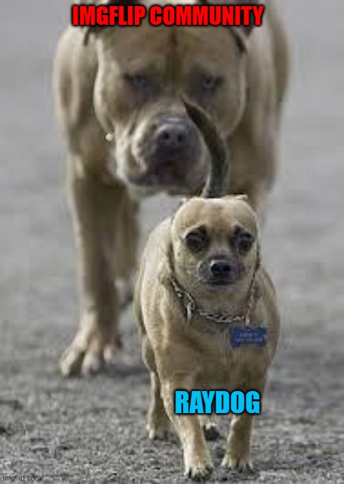 big dog little dog | IMGFLIP COMMUNITY RAYDOG | image tagged in big dog little dog | made w/ Imgflip meme maker
