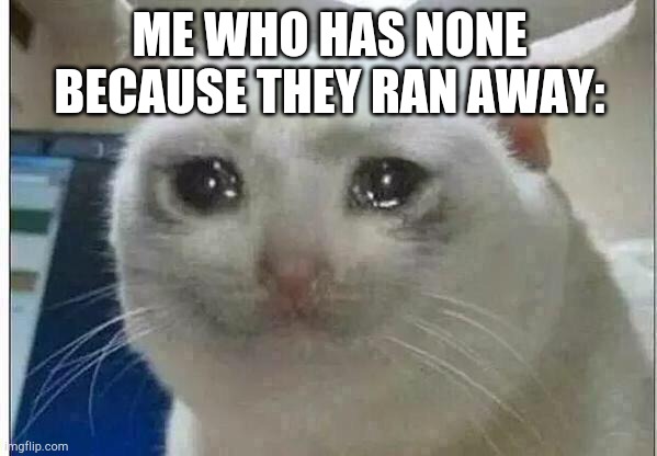crying cat | ME WHO HAS NONE BECAUSE THEY RAN AWAY: | image tagged in crying cat | made w/ Imgflip meme maker