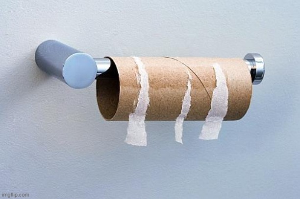 No More Toilet Paper | image tagged in no more toilet paper | made w/ Imgflip meme maker