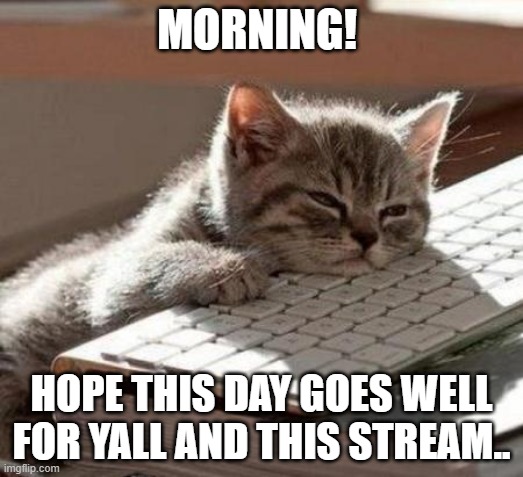 tired cat | MORNING! HOPE THIS DAY GOES WELL FOR YALL AND THIS STREAM.. | image tagged in tired cat | made w/ Imgflip meme maker