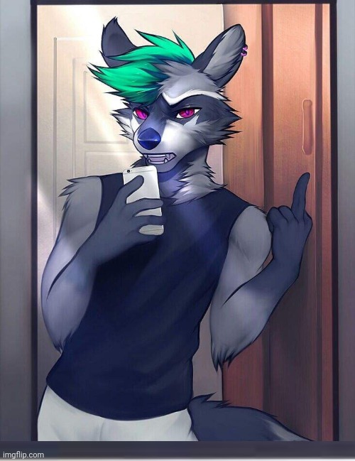 Cool furry art | image tagged in cool furry art | made w/ Imgflip meme maker